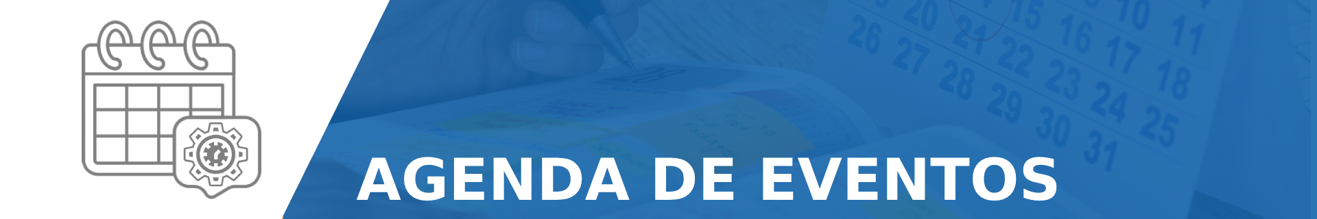 Novo Projeto